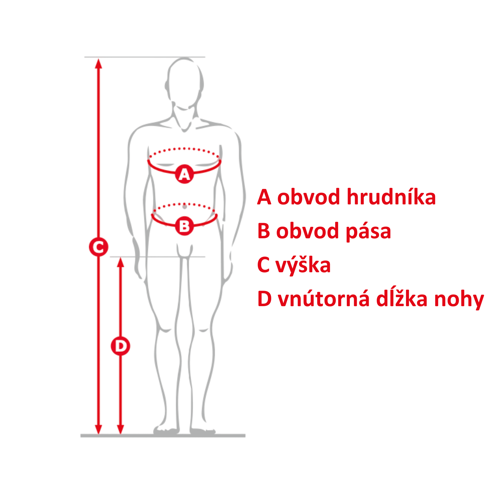 cofra-velkostna-tabulka-muz-lesnyobuvnik